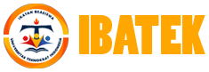 IBATEK